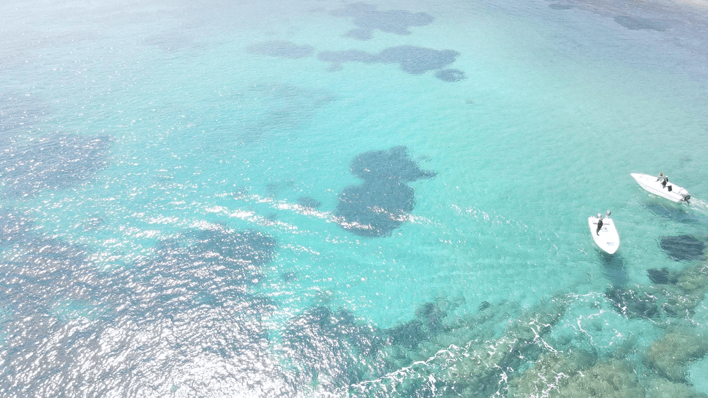 Olympic 490 - Φωτογραφία 7